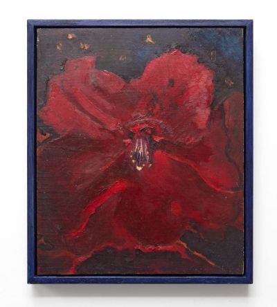 midnight flower by anna raven