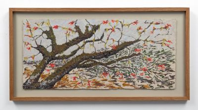 epiphytes on rowan, alladale by kevin dagg