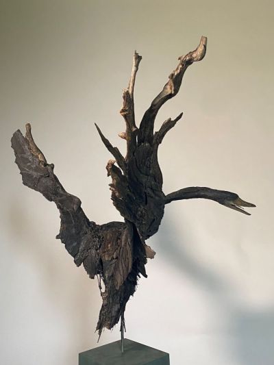 black swan by lucy gray