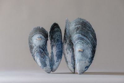 one crisp winter's morning by lucy gray