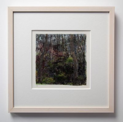 arboreal by jane rushton