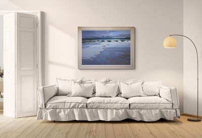 shelducks, portuairk by Alan B Hayman