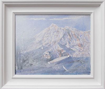 snow squall by rob fairley