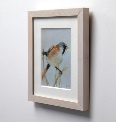 bearded tit by ruth o'dell