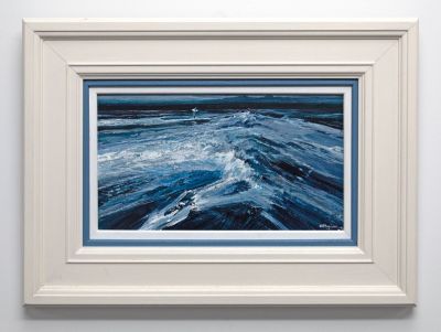 evening gull by alan b hayman