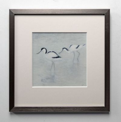 avocets, deepdale by ruth o'dell