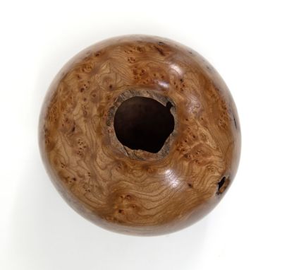 burr elm vessel ii by angus clyne