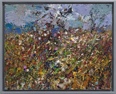 wild flower hedgerow by jonathan shearer