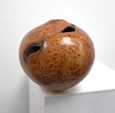 burr elm vessel i by angus clyne