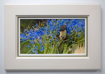 pine marten and bluebells by alan hayman