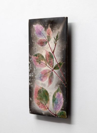 pink autumn bramble by helen michie