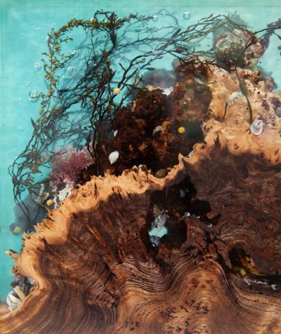 ardnastang by greig gilchrist mbe