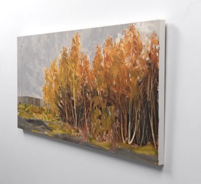 birch on scrubland (selkirk) by anna king