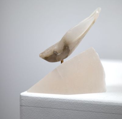 ice dive by siobhan morison