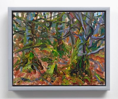 beech woods, april by jonathan shearer