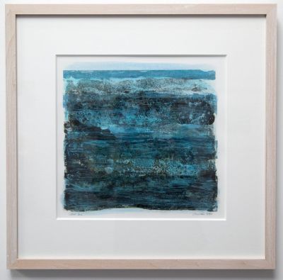 littoral zone by jane rushton