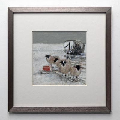 sheep in snow by ruth o'dell