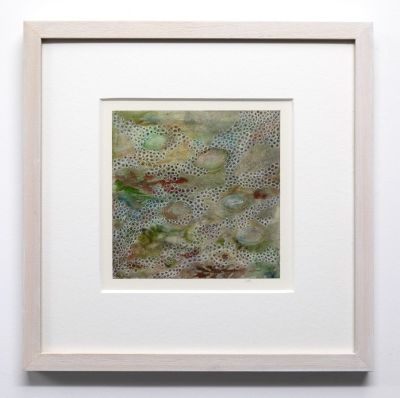 littoral community II by jane rushton