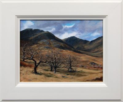 garbh beinn & coire an lubhair, ardgour by niall logan