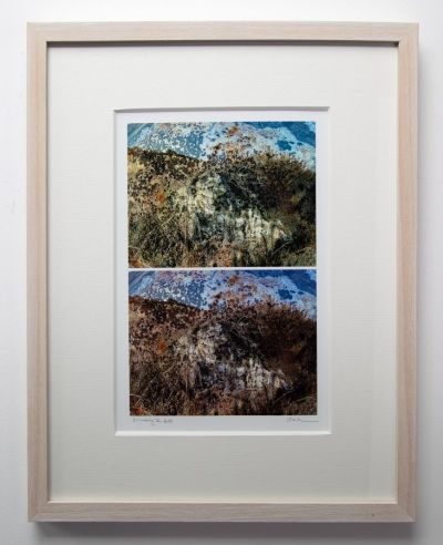 rounding the hill by rhea banker