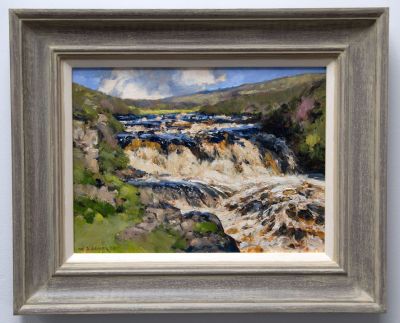 after the rain by david deamer