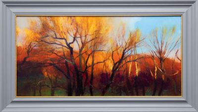 winter evening trees by andrew sinclair