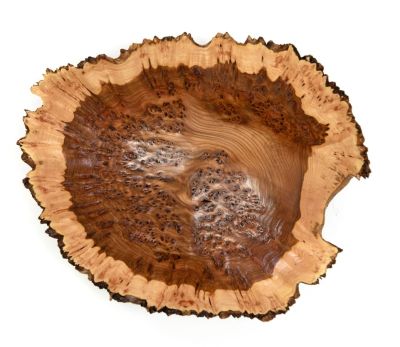 burr elm bowl iv by angus clyne