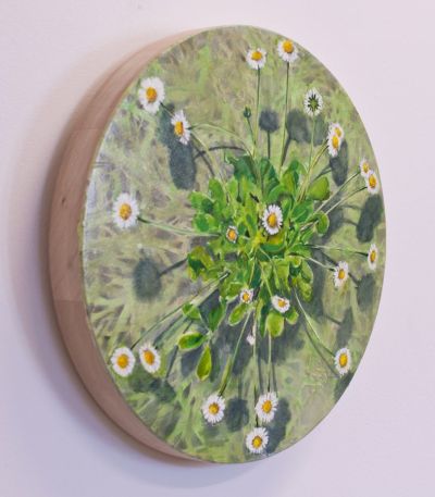 cosmic daisy by kirsty lorenz