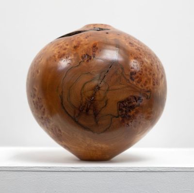 burr elm vessel i by angus clyne