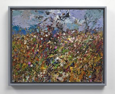 wild flower hedgerow by jonathan shearer