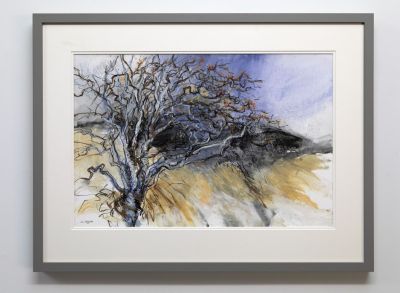 sentinel rowan by liz myhill