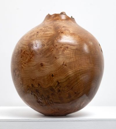 burr elm vessel ii by angus clyne