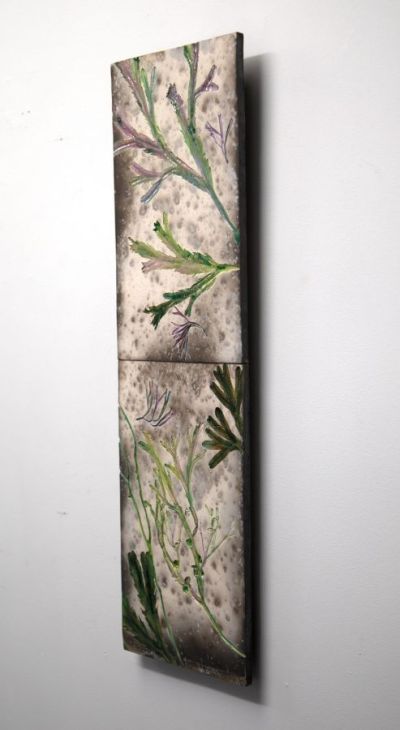 moidart coast seaweed by helen michie