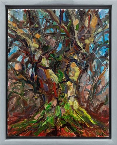 late afternoon sun, beech tree by jonathan shearer