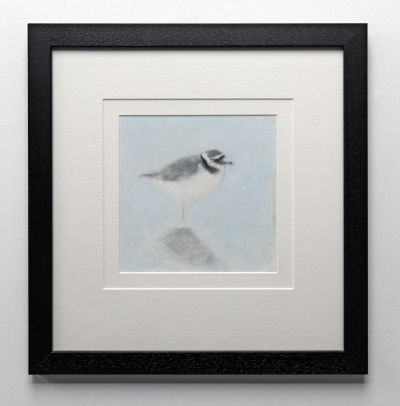 ringed plover by ruth o'dell