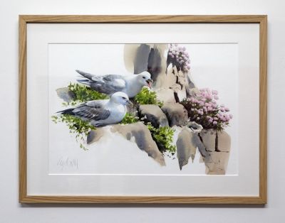fulmars, spring cliffs by lucy newton