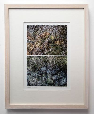 coastal impressions by rhea banker