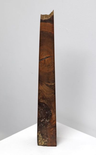 wych elm obelisk by john hodgson
