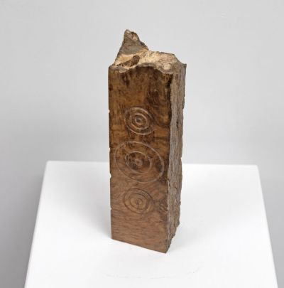 1939, oak burr by John hodgson