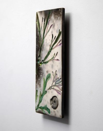 west seaweed & fossil I by helen michie