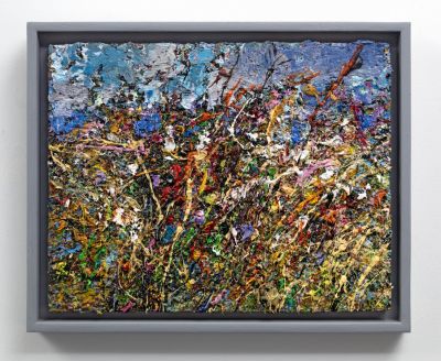 wild flowers fallow field by jonathan shearer