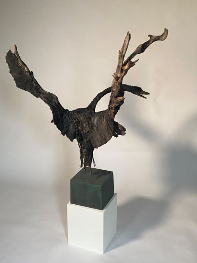 black swan by lucy gray