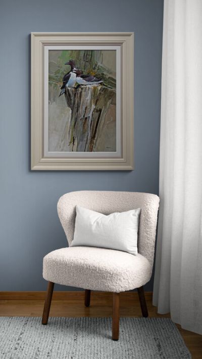 razorbills by Alan B Hayman