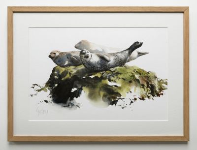 resting seals by lucy newton