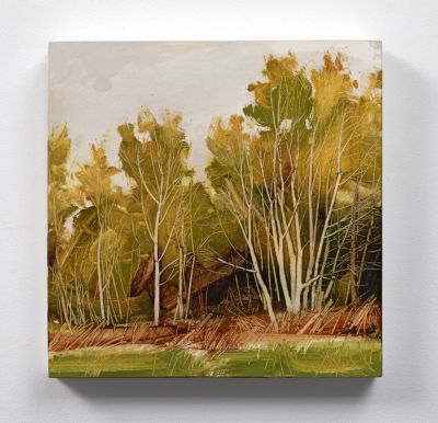 field edge, birches by anna king