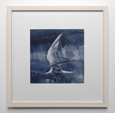 fast flight, dark sea by lucy newton