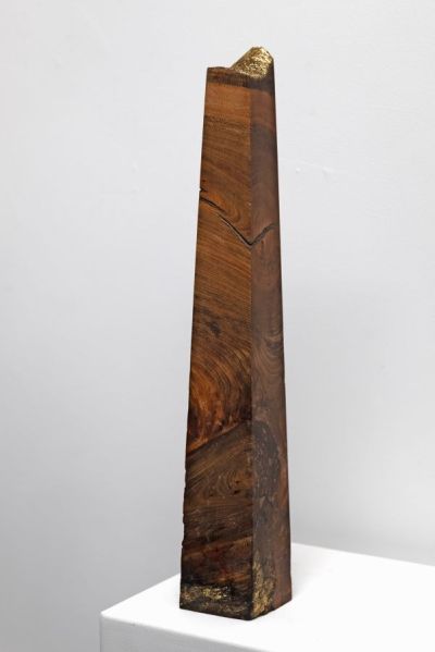 wych elm obelisk by john hodgson