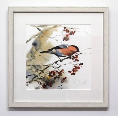 bullfinch by lucy newton