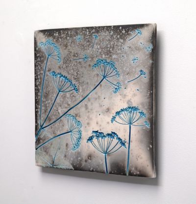 blue cow parsley i by helen michie