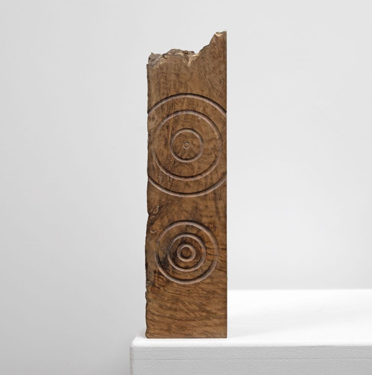 1939, oak burr by John hodgson